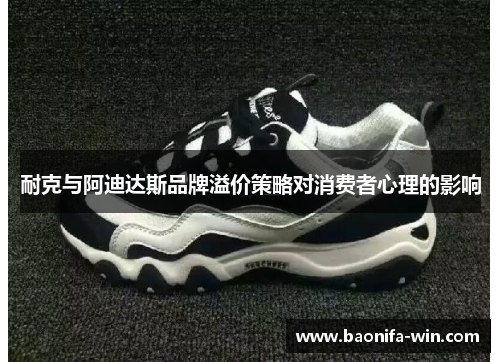 耐克与阿迪达斯品牌溢价策略对消费者心理的影响